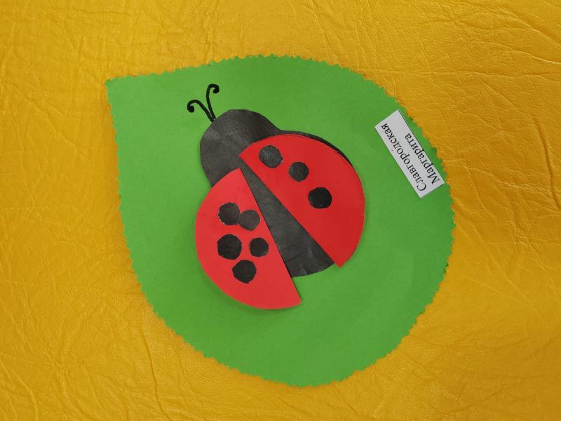 Удивительная крошка, наша божья коровка